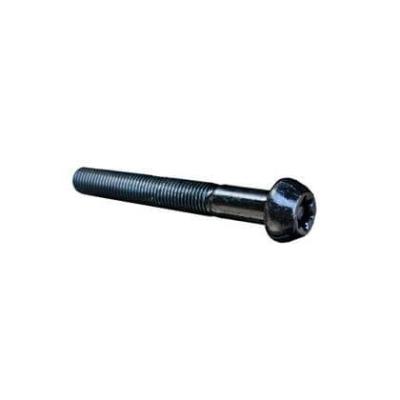 Болт TORX M10 × 1.25 × 75 - 55 ZONTES