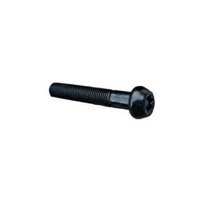 Болт TORX M10 × 1.25 × 60 - 45 ZONTES