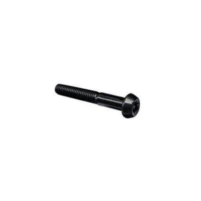 Болт TORX M8 × 1.25 × 50 - 30 ZONTES