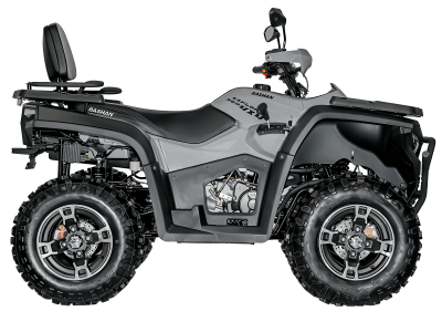 Снегоболотоход BASHAN BS320AU EXPLORER (4x4) эПСМ (с лебедкой) (серый, , 1560310-824-8712)