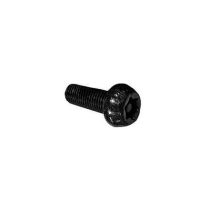Болт Torx M10×1.25×25 ZONTES