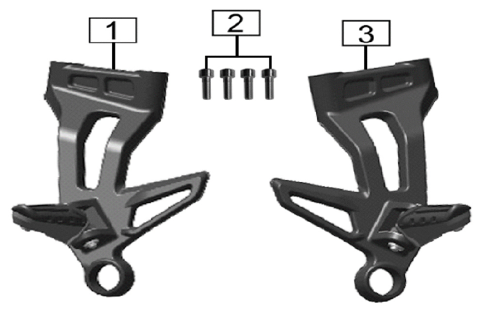 Подножки задние