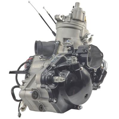Двигатель в сборе LX MT250 KAYO KT250 (2023)