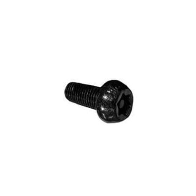 Болт TORX M10 × 1.25 × 20 ZONTES