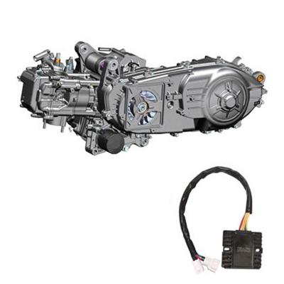 Двигатель в сборе ZONTES ZT1P79MP