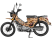 1560555-796-8836_7