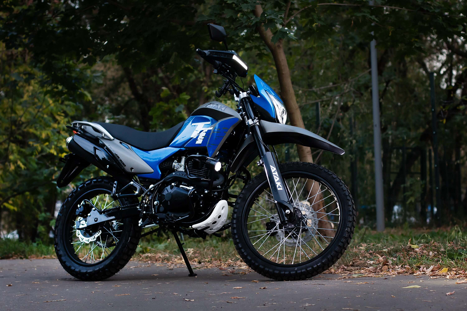 Мотоцикл ATAKI CROSSER 300 (4T PR300) 21/18 