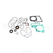 Комплект прокладок и сальников двигателя полный WINDEROSA Honda TRX500 01-14 (811843)