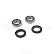Подшипники заднего колеса PRO-X KTM/HUSQVARNA 12-19 (23.S112073)