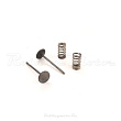 Клапаны впускные PRO-X (сталь) с пружинами KTM SX-F250 13-15 HUSQVARNA FC250 14-15 (28.SIS6333-2)