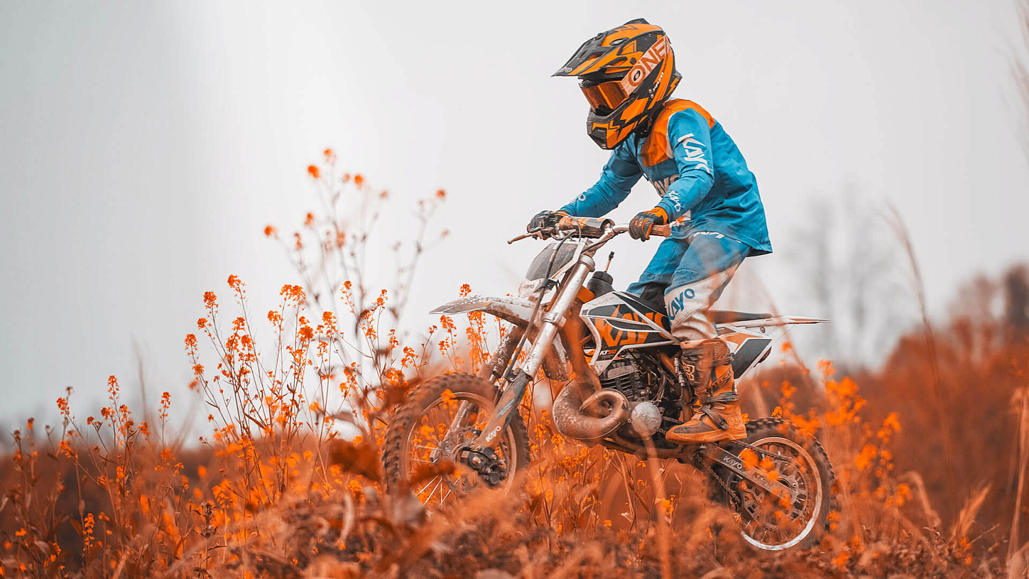 Питбайк KAYO KT50L 2T 12/10