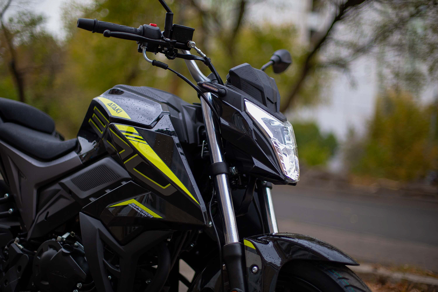 Мотоцикл ATAKI BATLLO (4T PR300) 17/17