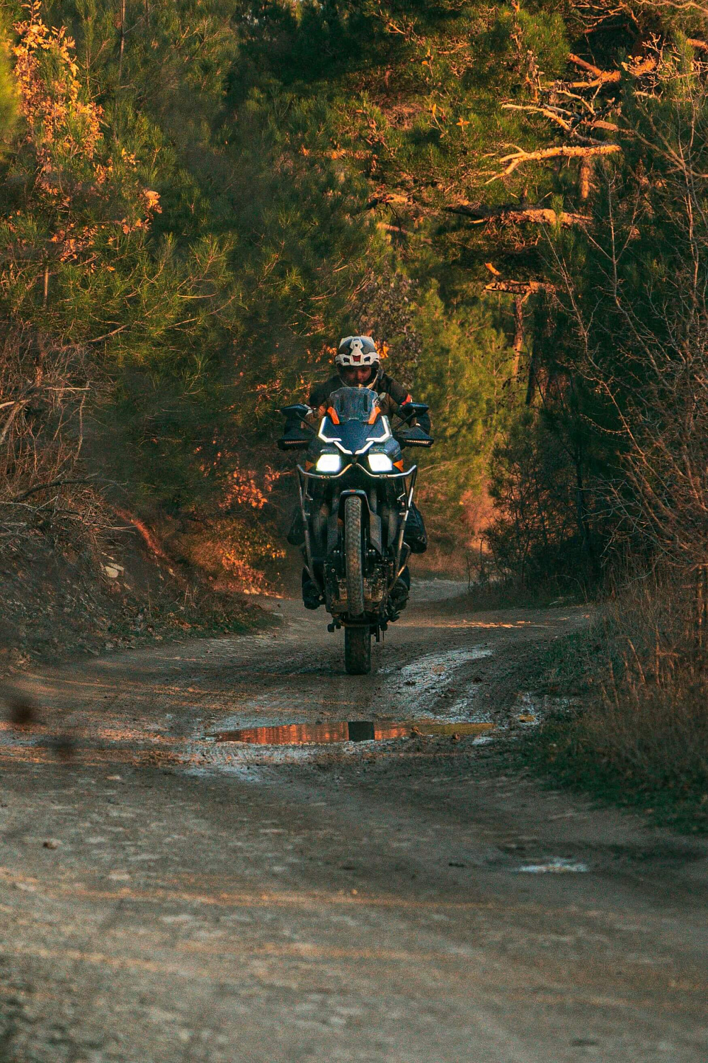 Мотоцикл ZONTES ZT703-F 21/18