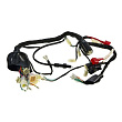 Жгут проводки ATAKI TRACKER 250