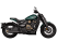 Мотоцикл CYCLONE RA600 ПТС (зеленый, заводская упаковка, 1560555-796-2098)