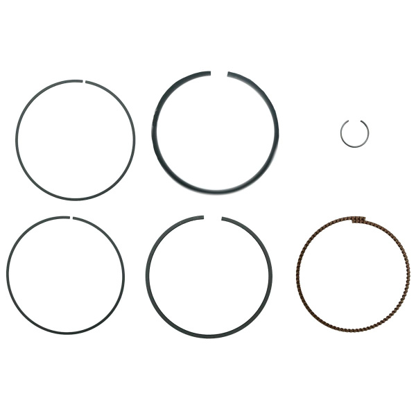 1560337-007-8595_4 1560337-007-8595_4