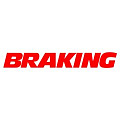Колодки тормозные BRAKING Колодки тормозные BRAKING