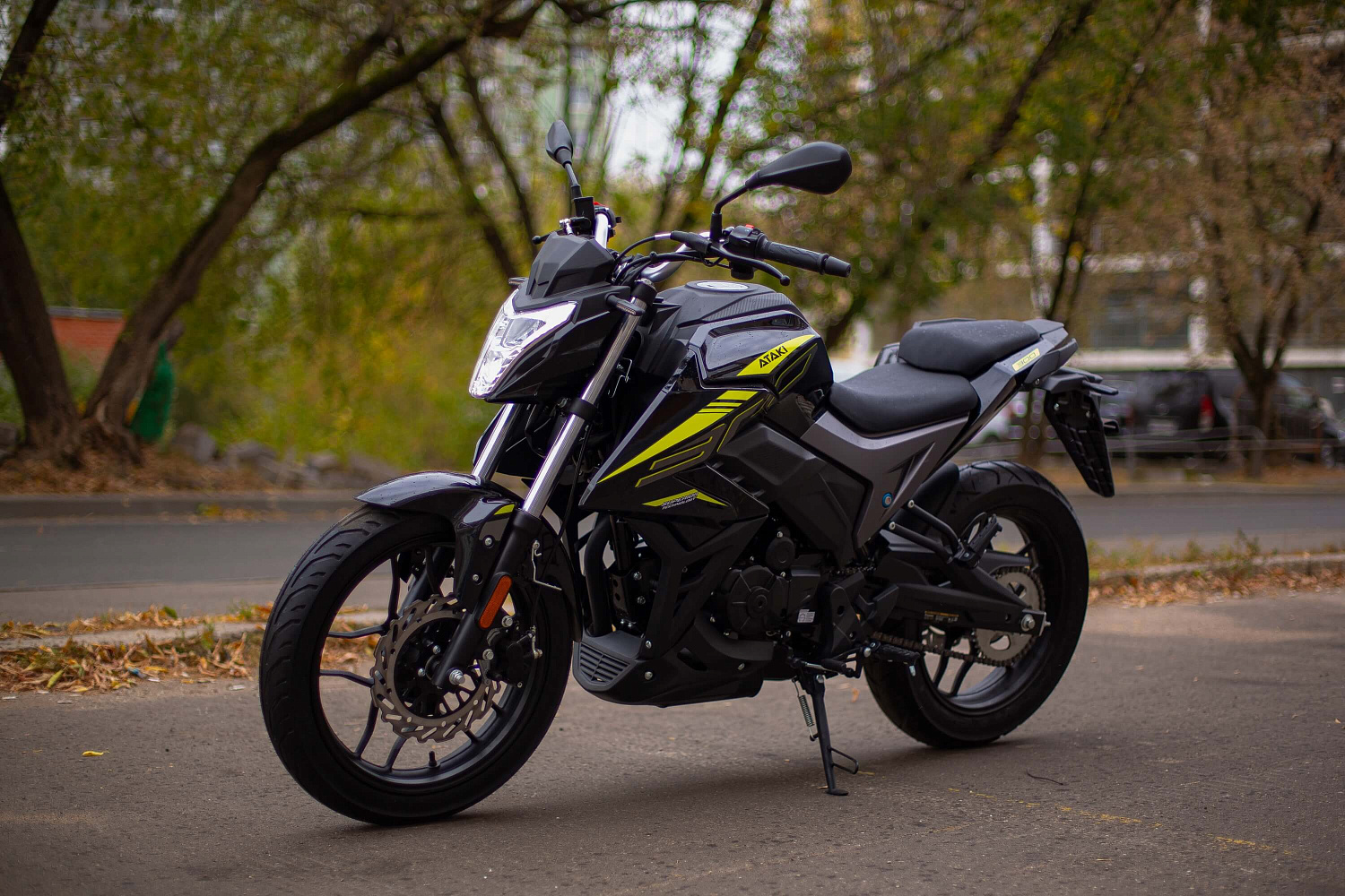 Мотоцикл ATAKI BATLLO (4T PR300) 17/17